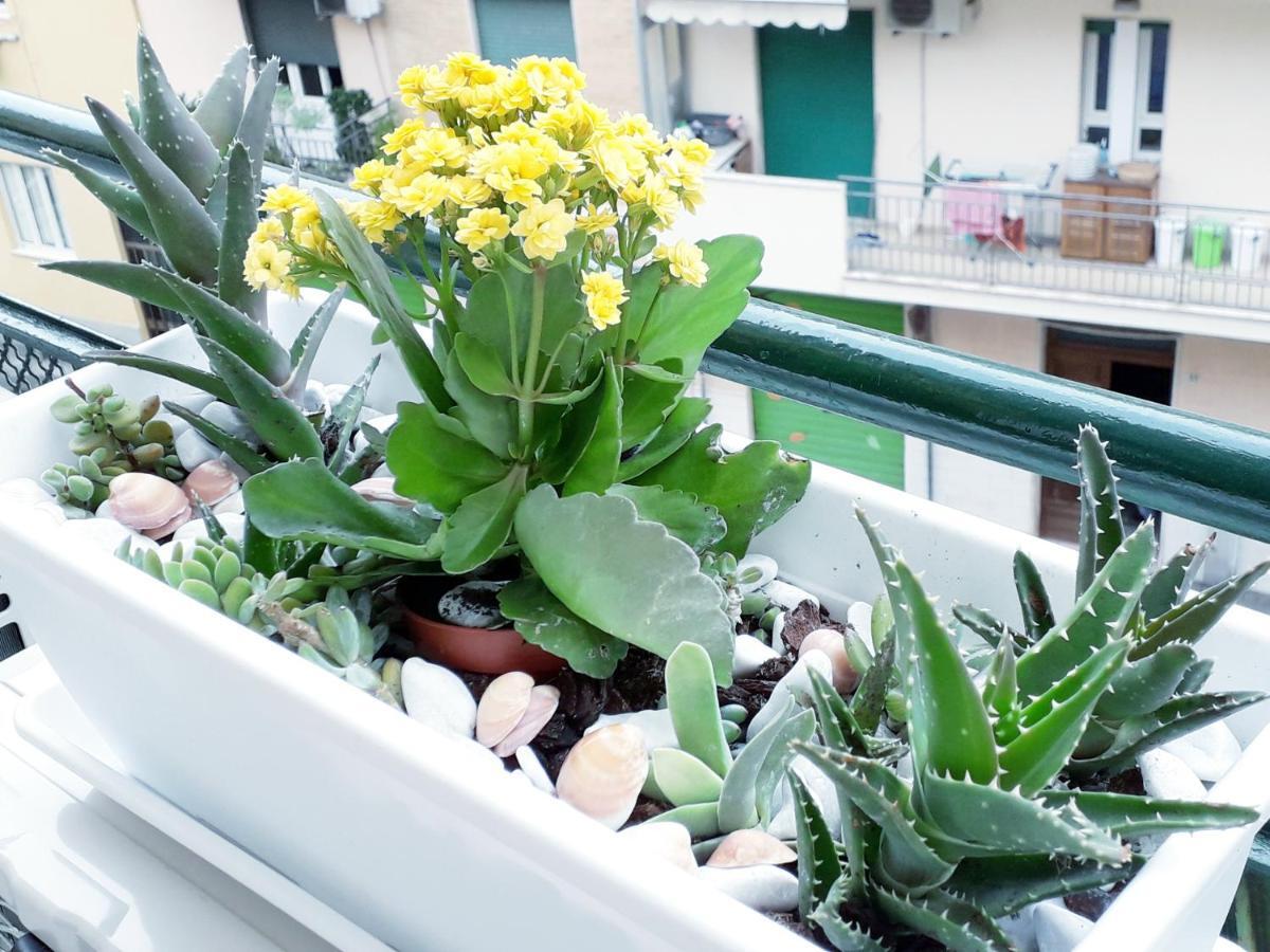 Bed and breakfast Insula Cagliari